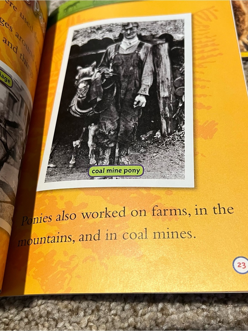 I can read Scholastic Kids Books Bundle Level 1 Splat the Cat Dairy of a Worm - Picture 12 of 12